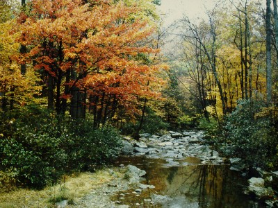 quiet mountain stream